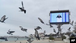 Гълъби на плажа в Севастопол в окупирания Крим на фона на видео екран, по който се предава пряко реч на Владимир Путин, 21 февруари 2023 г.