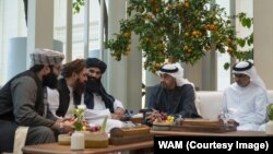 شیخ محمد بن زاید بن سلطان آل نهیان (نفر دوم از راست)، رئیس امارات متحده عربی، در دیدار با سراج‌الدین حقانی (نفر سوم از چپ)