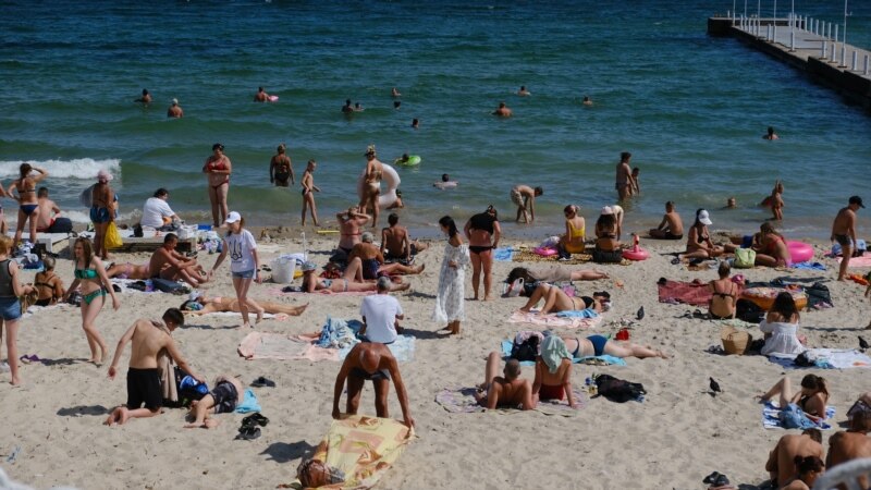 Profesor de biologie marină: Marea Neagră și Delta Dunării vor avea specii diferite. Pot apărea și rechini periculoși pentru oameni
