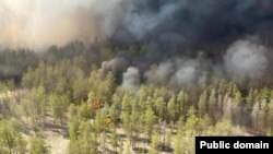 Лесной пожар на востоке Казахстана. Фото с сайта акимата области Абай
