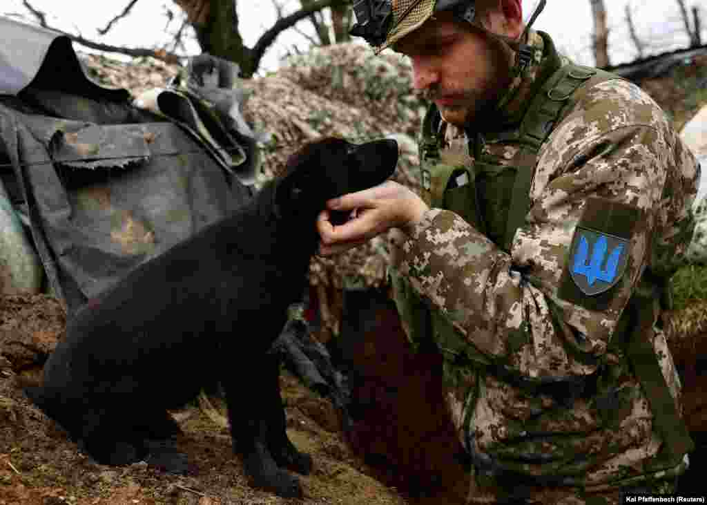 Olekszandr, az ukrán 24. dandár katonája egy kiskutyával játszik a frontvonal egyik lövészárkában, az ukrajnai Niju-Jork városka közelében április 4-én