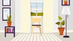 Abituriyentlər üçün tövsiyə: İxtisas seçimi zamanı kodlaşdırma necə aparılmalıdır?