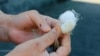 The Hard Labor Behind Luxury: Uzbek Silkworm Growing Is A Family Tradition