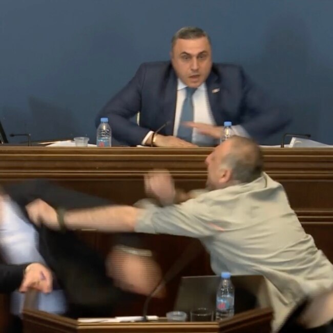 Драка в парламенте Грузии во время обсуждения закона об «иноагентах»