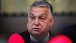 Віктор Орбан не поспішає зустрічатися з Володимиром Зеленським?