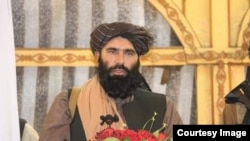 داود مزمل والی حکومت طالبان در ولایت بلخ که روز پنجشنبه 18 حوت هدف حمله انتحاری قرار گرفت و کشته شد.