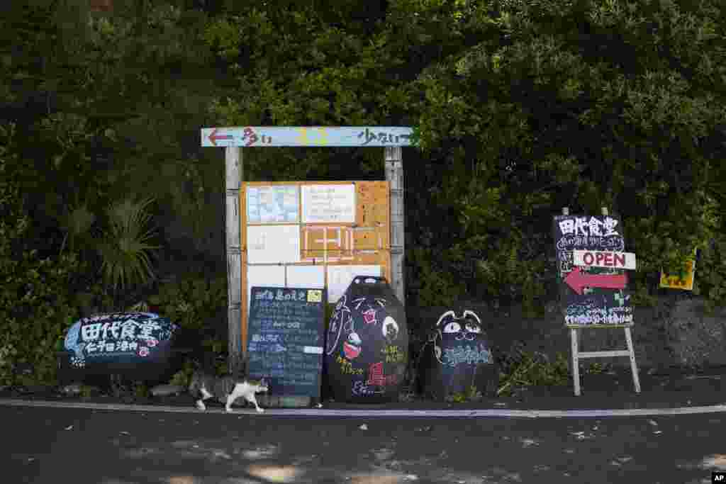 Një mace duke ecur përpara tabelave udhëzuese për faltoren e maceve dhe një kafene në ishullin Tashirojima në Ishinomaki, në verilindje të Japonisë.