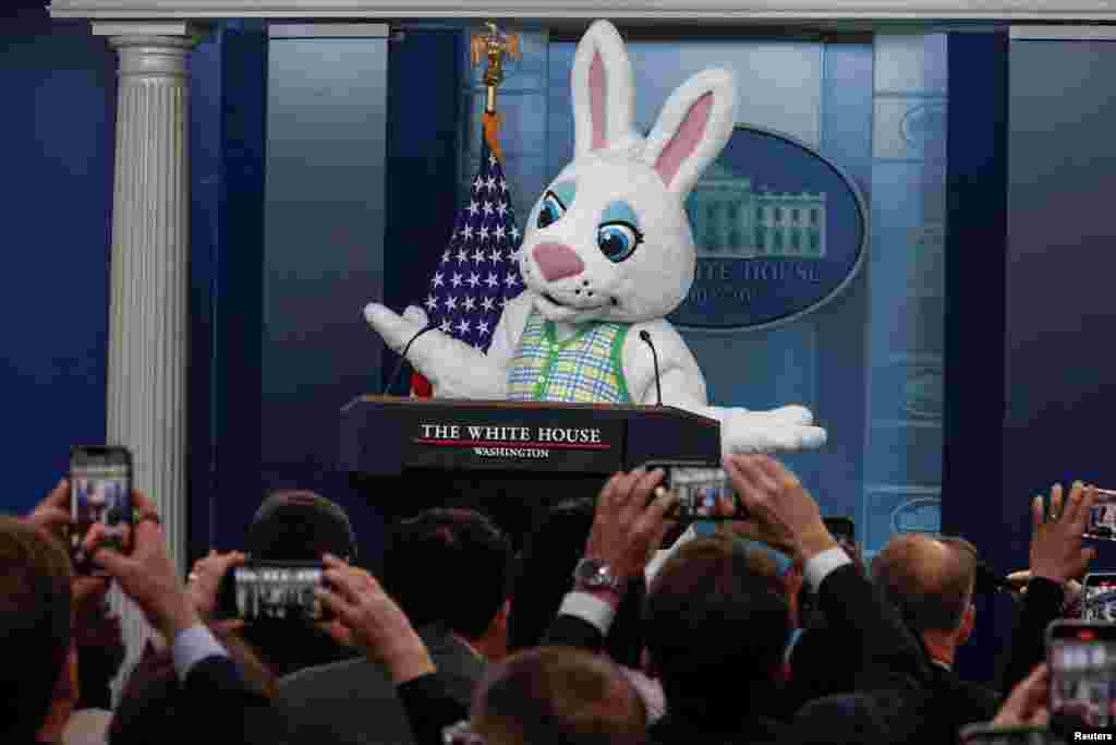Uskršnji zec na pres-konferenciji u Bijeloj kući u Washingtonu, SAD, 1. aprila 2024.