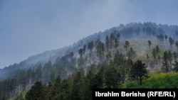 Fotografi ilustruese nga zjarret në Prevallë të Prizrenit, më 13 gusht 2024.