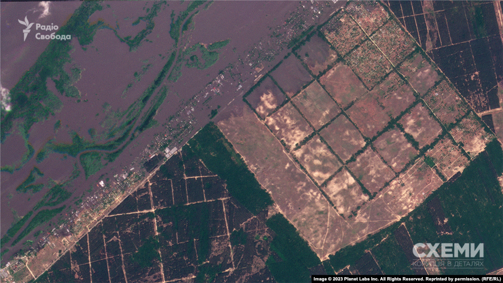 Супутниковий знімок села Кринки, червень 2023 року