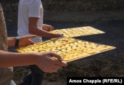 Ученики несут подносы с ломтиками персиков к сушильным машинам в школе