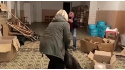 Спасенный пес и его хозяева