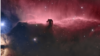 Туманность "Конская голова" в созвездии Орион входит в топ-5 самых узнаваемых космических объектов. Место съемки – 60 км от Новосибирска