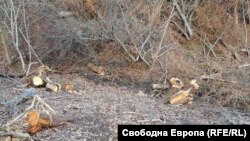  Това е 50-годишна гора в землището на село Антоново, която е изсечена с бележки за разчистване на обособени дървета с височина до 5 м. По документи парцелът е общинска равнища. 