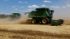 Сбор урожая пшеницы на оккупированной Россией территории Донецкой области Украины, лето 2023 года