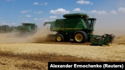 Сбор урожая пшеницы на оккупированной Россией территории Донецкой области Украины, лето 2023 года