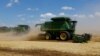 Două combine recoltează grâu pe un câmp din apropierea localității Nikolske din regiunea Donețk, Ucraina controlată de Rusia, 19 iulie 2023.