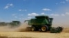 Сбор урожая пшеницы на оккупированной Россией территории Донецкой области. Украина, лето 2023 года