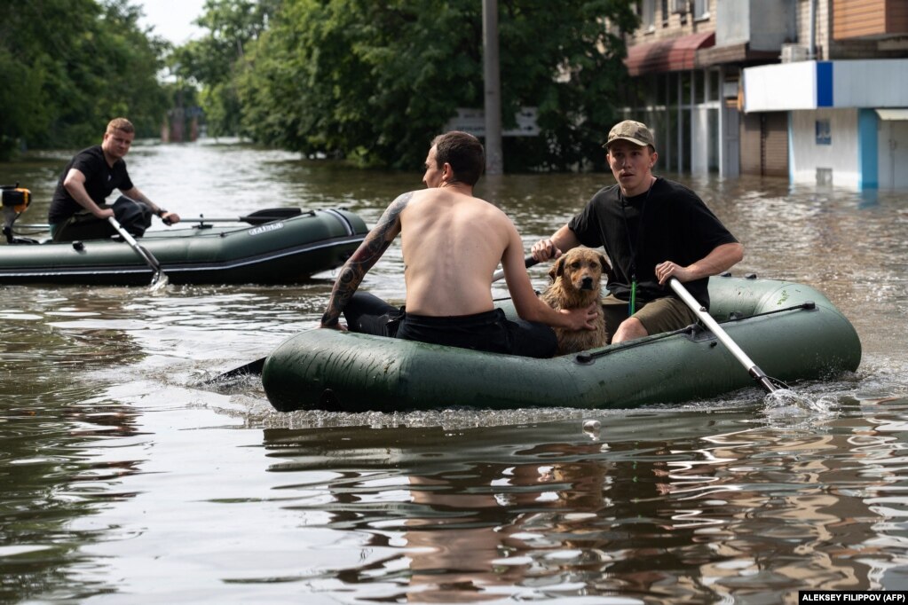 8 giugno 3023, regione di Kherson: in seguito all'esplosione della diga Nova Kakhovka, dozzine di villaggi sono stati allagati.  Migliaia di persone e dei loro animali hanno dovuto essere evacuati.