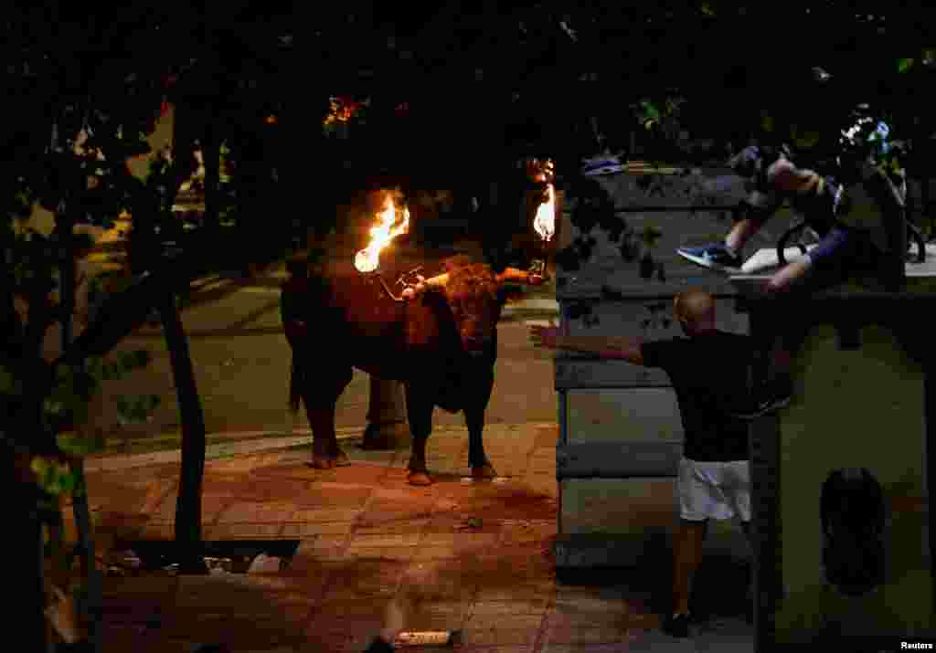Bik sa plamenom na rogovima na festivalu "bou embolat", koji je zabranjen u španskom gradu Valensiji 2016., ali ga je nova regionalna vlada vratila u praksu, Carpesa, sjeverna Valensija, 17. septembra.