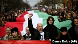 'Freedom March' In Hungary Calls For Educational Reforms And Political Change