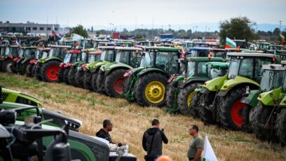 Колапс в сектора от години От това се оплакват зърнопроизводителите