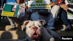 Куче седи со демонстранти за време на протест против законот на турските власти, 27 јули 2024 г.
