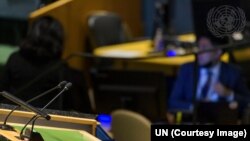 Советот за безбедност на Обединетите нации 