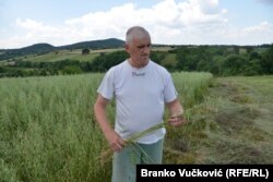 Ljubiša Nektarijević, poljoprivrednik iz sela Divostin