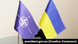 ნატოს სპეციალური წარმომადგენლის დანიშვნა განიხილება, როგორც რუსეთის აგრესიის წინააღმდეგ ბრძოლაში უკრაინის მხარდაჭერისკენ მიმართული ღონისძიებების ფართო პაკეტის ნაწილი.