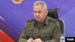 Defense Minister Sergei Shoigu (file photo)
