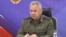 Defense Minister Sergei Shoigu (file photo)