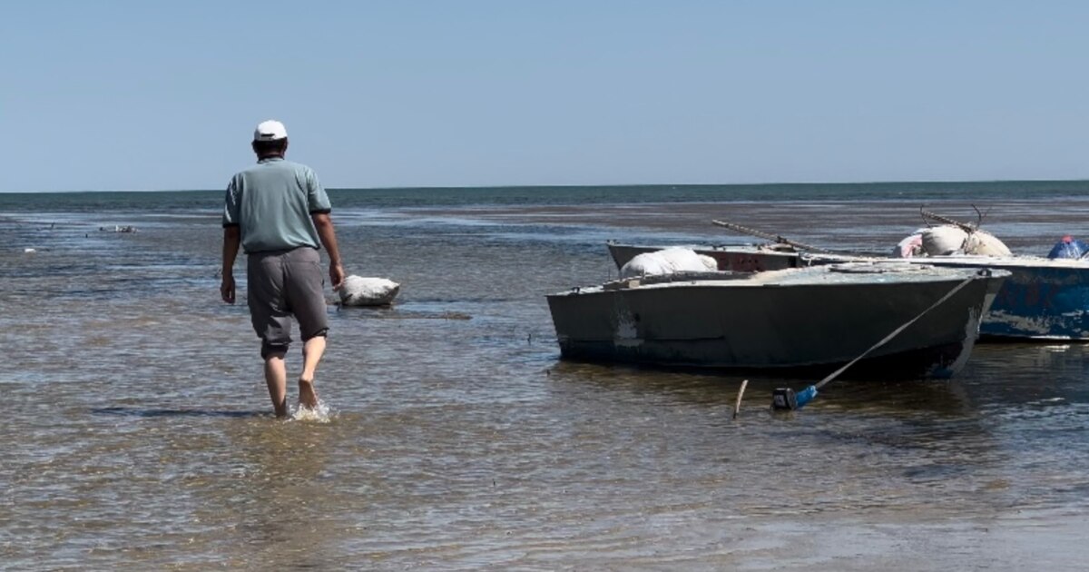 Николаевск-на-Амуреден порно фотосуреттер
