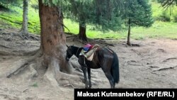 Иссиқкўл