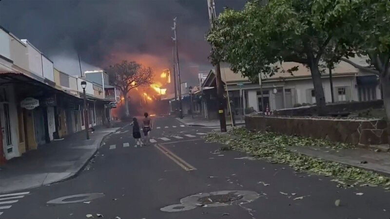 Të paktën 36 persona të vdekur nga zjarret në Havaji