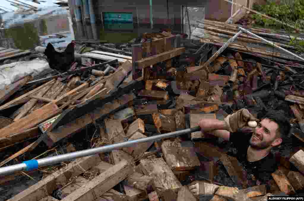 An animal rescue volunteer holds an egg while he swims among debris in floodwaters in Kherson.