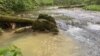 Zagađenje rijeke Bioštice iz maja ove godine. Rijeka ima devet zaštićenih vrsta živog svijeta, od kojih je jedna kritično ugrožena. Radi se larvama određenih insekata i plemenitoj vrsti riječnog raka. 