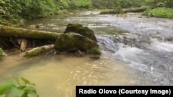 Zagađenje rijeke Bioštice iz maja ove godine. Rijeka ima devet zaštićenih vrsta živog svijeta, od kojih je jedna kritično ugrožena. Radi se larvama određenih insekata i plemenitoj vrsti riječnog raka. 
