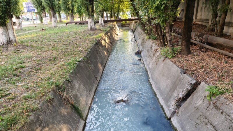 Мертвые утки и рыбы. Российские власти Симферополя не видят загрязнения реки Славянка