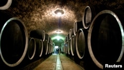 Hrastova burad u vinskom podrumu jedne hrvatske vinarije (foto arhiv)