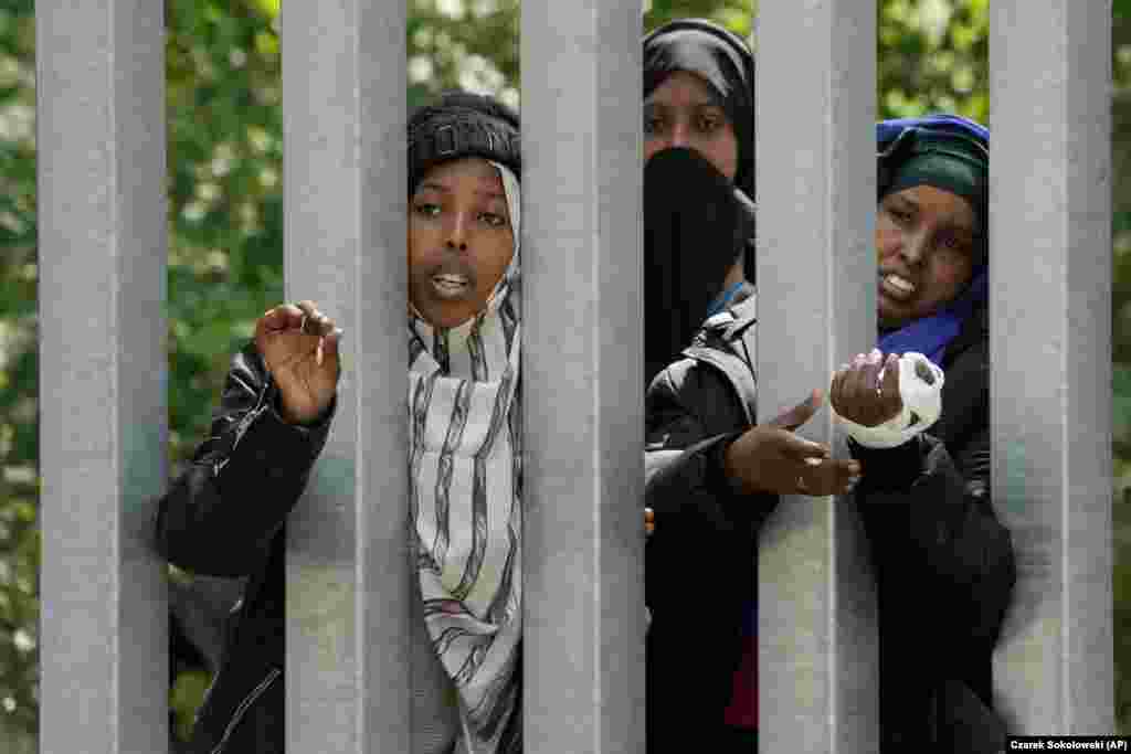 Migrants reach through the metal border barrier that Poland erected along the border with Belarus, in the Bialowieza Forest. Poland says neighboring Belarus and its main supporter, Russia, are behind a surging push by migrants in Belarus toward the European Union.