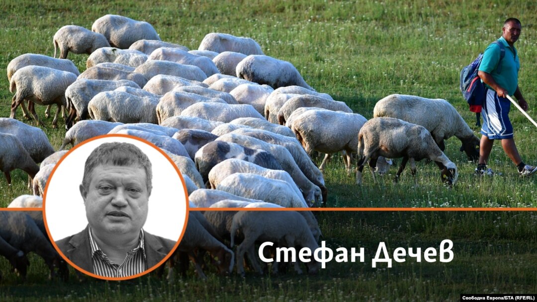 Колаж със снимка на автора Стефан Дечев