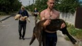 Волонтери несуть врятованих собак. Тваринам дали заспокійливе, щоб було легше переправити їх. Херсон, 7 чернвя 2023 року.<br />
<br />
Тисячі людей на Херсонщині були змушені покинути свої домівки, залишивши там домашніх тварин після прориву дамби на Каховській ГЕС 6 червня
