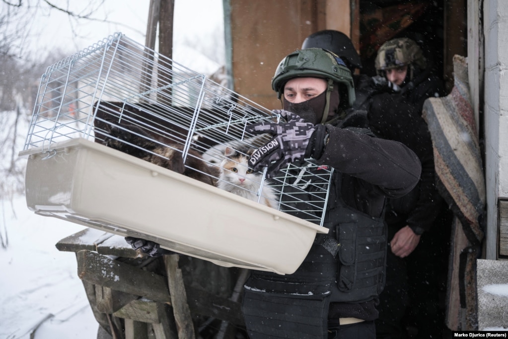 Volunteers carry Lidia's cats from her home.