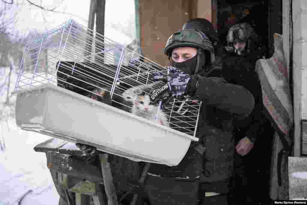 Volunteers carry Lidia&#39;s cats from her home.