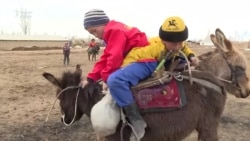 Vágtatva a győzelem felé: a kirgiz fiúk mindent beleadnak, hogy a kok boru ősi sportjában diadalmaskodjanak