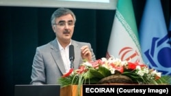 Mohammad Reza Farzin / Iranian economist