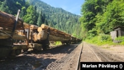 Lemnul exploatat din pădurile Romsilva nu poate fi coborât din munți în orașul Vișeu de Sus decât cu Mocănița, un vechi tren cu abur. 