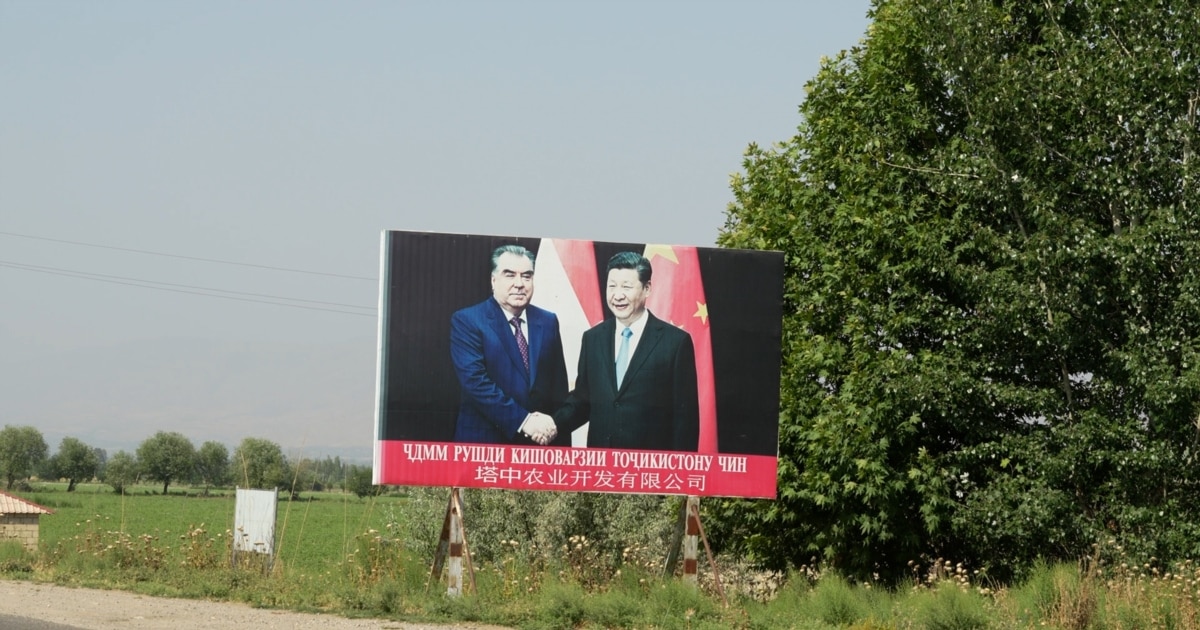 Semiz sikli geylar video