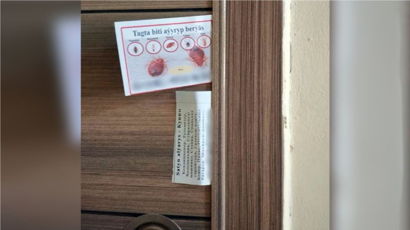 Aşgabadyň ýaşaýjylary tagtabitden ejir çekýärler we göreş usullaryny oýlap tapýarlar